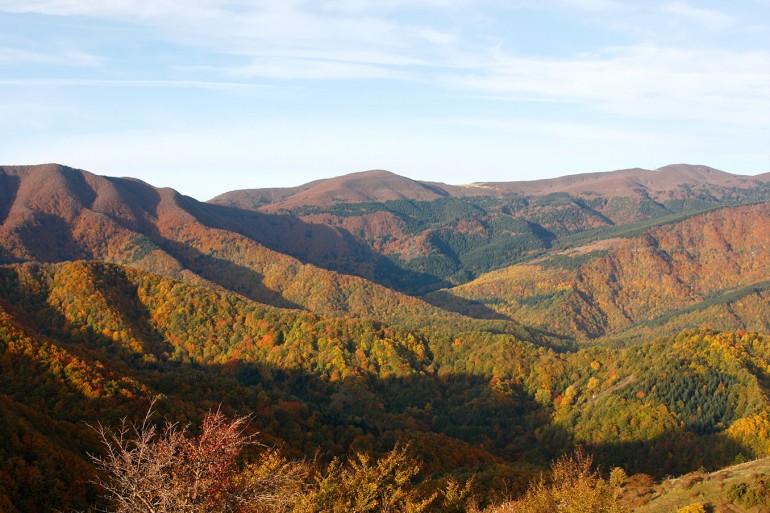 autunno-foreste-casentinesi