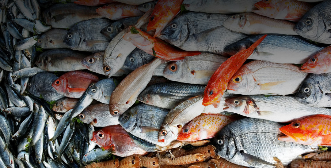 Il pesce fa festa a Cesenatico dal 30 Ottobre al 4 Novembre
