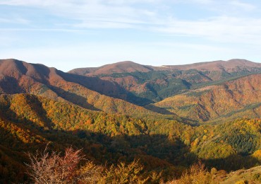 autunno-foreste-casentinesi